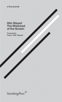 Hito Steyerl: The Wretched of the Screen