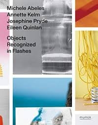 Objects Recognized in Flashes