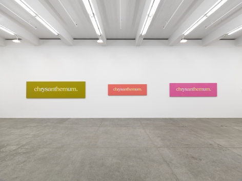Supercallefragelistic-expialledocious (Universal Color Part 1), Andrew Kreps Gallery, New YorkMay 14 - June 30, 2015