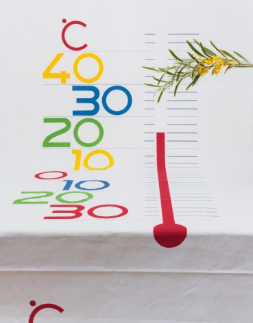 Annette Kelm&nbsp; Thermometer, 2013