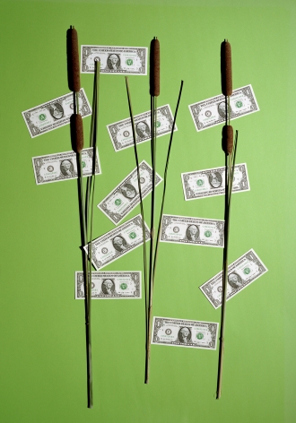 Annette Kelm&nbsp; Money Tree, 2015