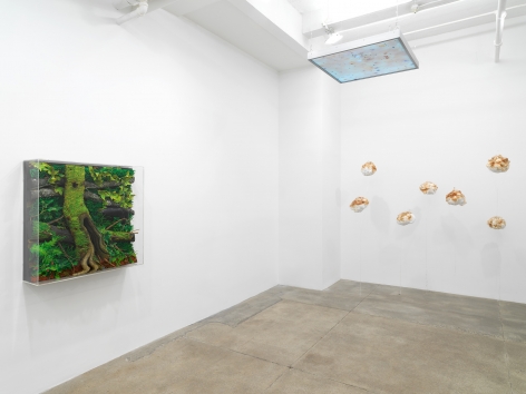 Michel Blazy, Piero Gilardi, Tetsumi Kudo, Anicka Yi, Andrew Kreps Gallery, New York