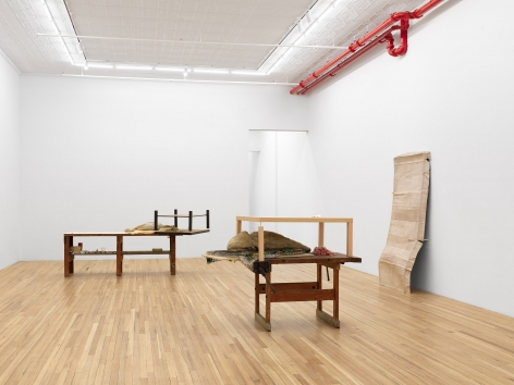 Liz Magor, I Have Wasted My Life,&nbsp;Andrew Kreps Gallery, New York