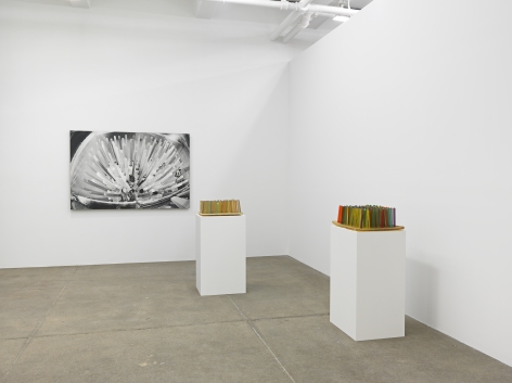 The Smell of Almonds: Resin Works, 1968-1982, Andrew Kreps GalleryFebruary 28&nbsp;- March 28, 2015