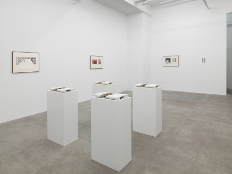 Camille Blatrix/Franco Vaccari, Andrew Kreps Gallery, New York
