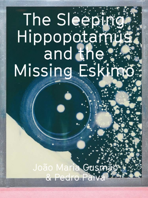 The Sleeping Hippopotamus and the Missing Eskimo